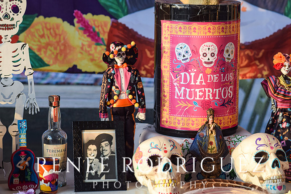 Dia de los Muertos | Detroit Riverfront