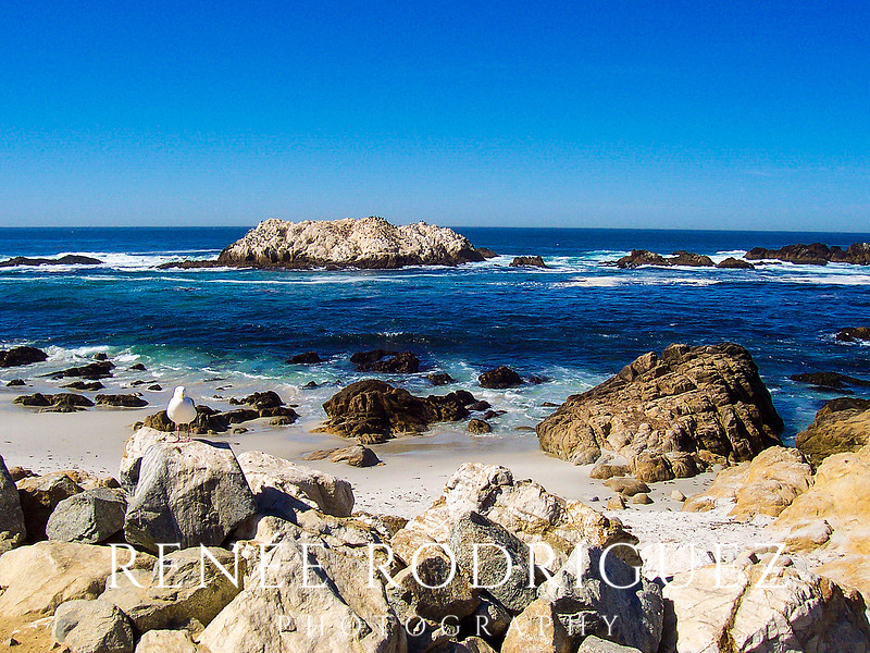 California Coast