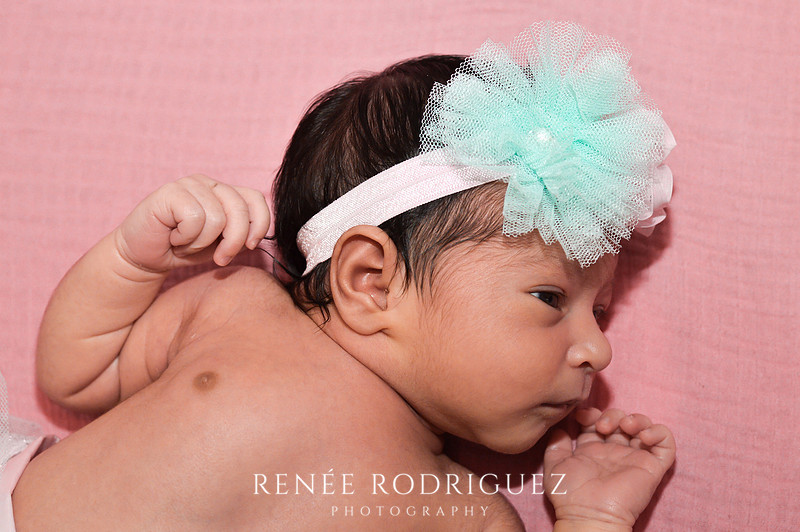 Newborn Photo Session