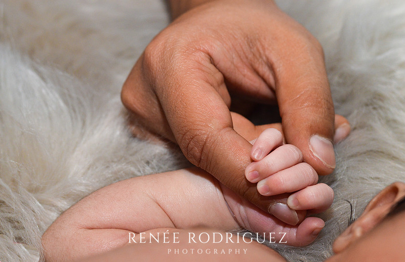 Newborn Photo Session