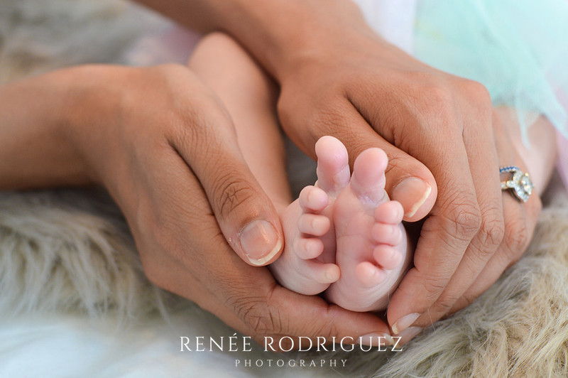 Newborn Photo Session