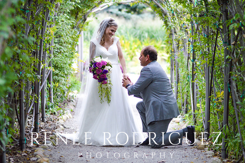Wedding at Matthaei Botanical Gardens in Ann Arbor, MI