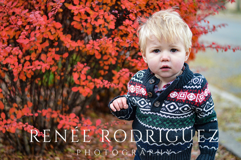 Christmas Photo Session - Grosse Pointe Park, MI