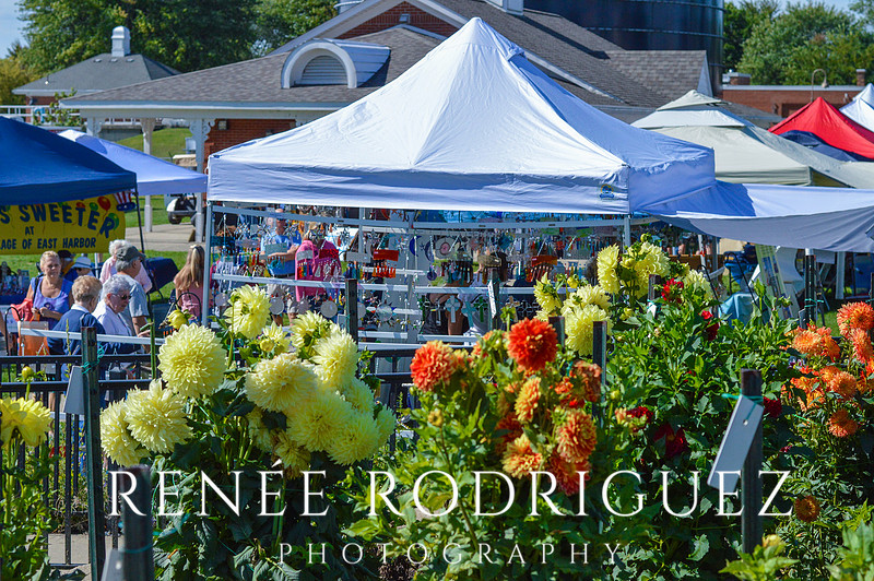 Art on the Bay - New Baltimore, MI