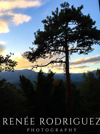 Calming Your Mind During COVID